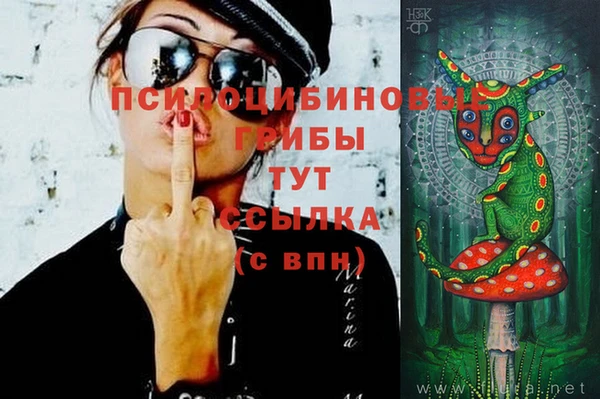 МДПВ Аркадак