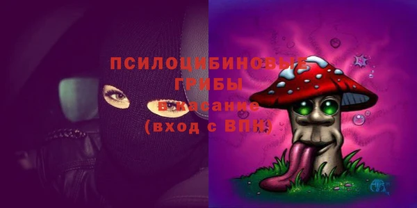 прущая мука Арсеньев