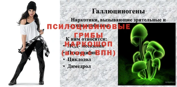 прущая мука Козловка