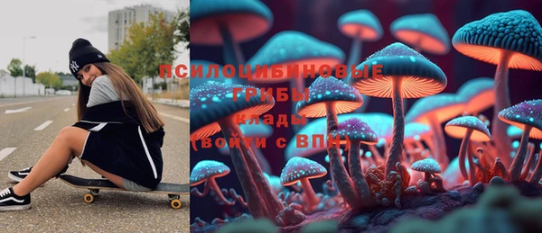 прущая мука Армянск